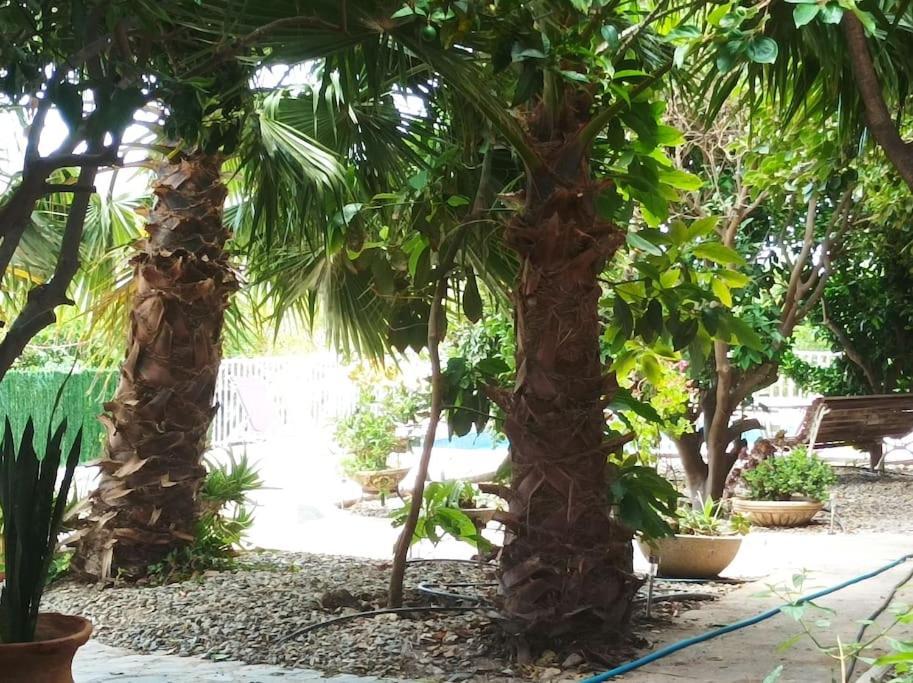 Villa Cortijo Del Sidi Motril Esterno foto