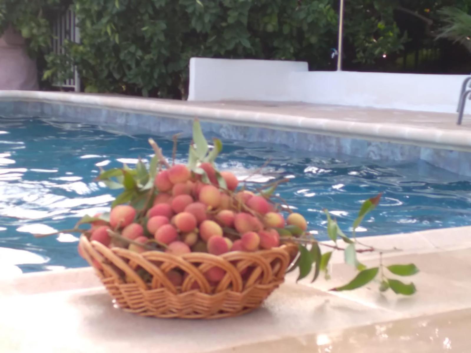 Villa Cortijo Del Sidi Motril Esterno foto