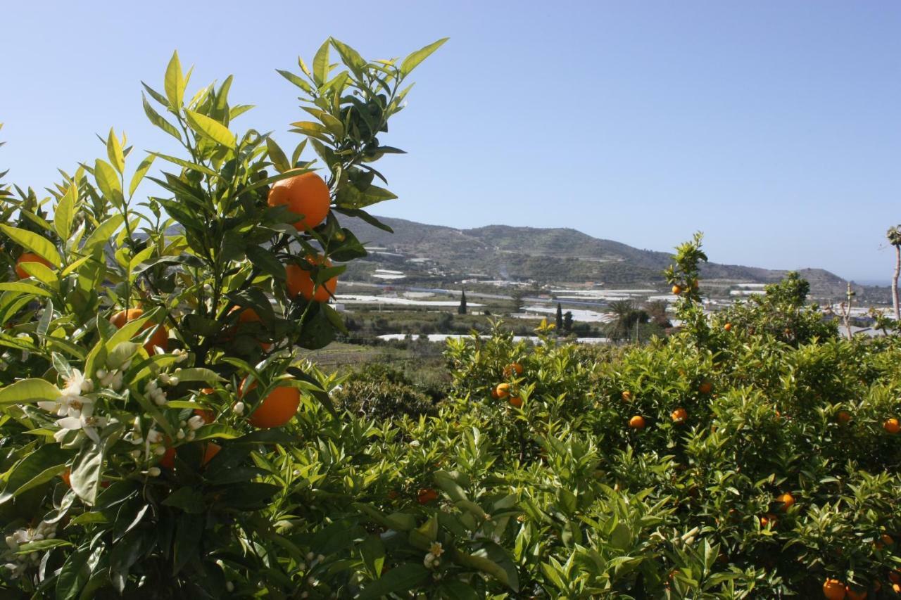 Villa Cortijo Del Sidi Motril Esterno foto