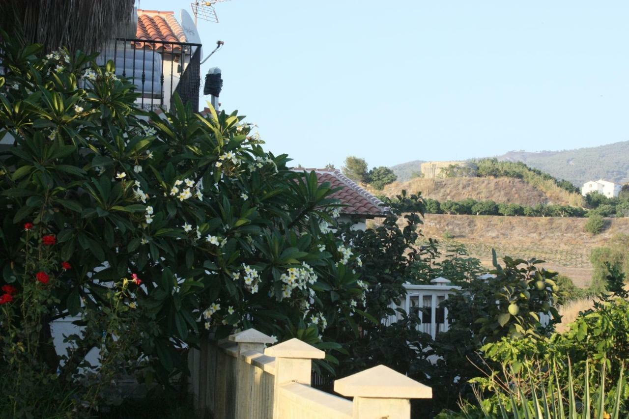 Villa Cortijo Del Sidi Motril Esterno foto